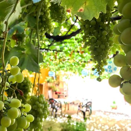 Apartment Olivar Мадрид Екстериор снимка