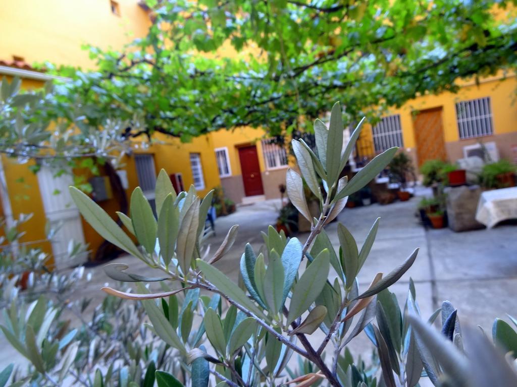 Apartment Olivar Мадрид Стая снимка